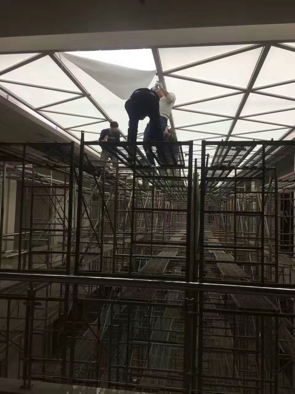 Translucent Grid Image